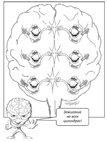 Иллюстрация к книге — Заставь свой мозг работать [i_006.jpg]