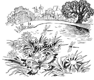 Иллюстрация к книге — 13-й карась [i_003.jpg]