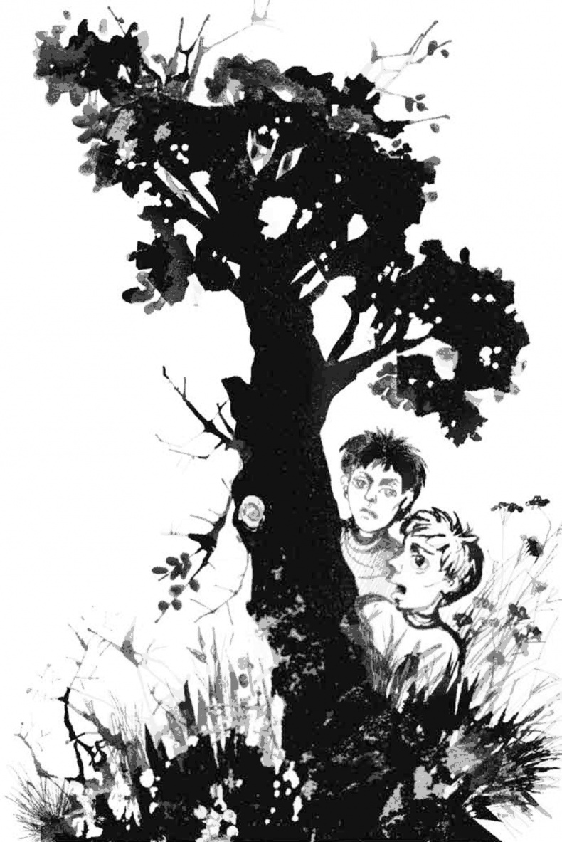 Иллюстрация к книге — 13-й карась [i_004.jpg]