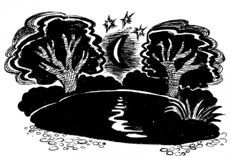 Иллюстрация к книге — 13-й карась [i_005.jpg]