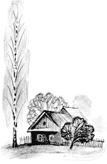 Иллюстрация к книге — 13-й карась [i_006.jpg]