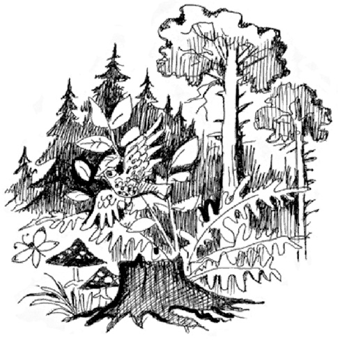 Иллюстрация к книге — 13-й карась [i_008.jpg]