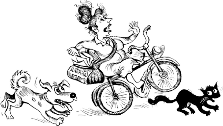 Иллюстрация к книге — 13-й карась [i_012.jpg]