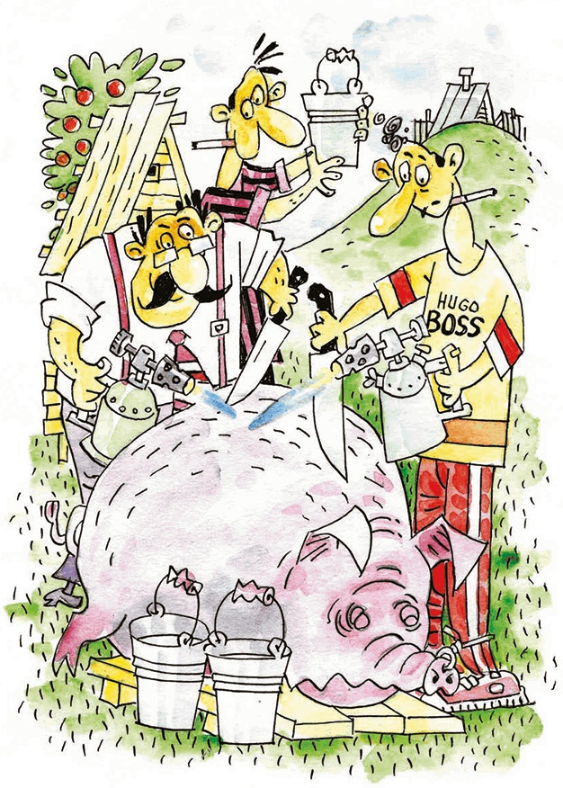 Иллюстрация к книге — Кабан по-телегенски [i_012.jpg]