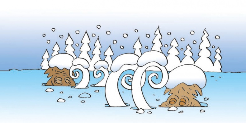 Иллюстрация к книге — Мороз Иваныч и Морозко [i_005.jpg]