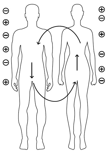 Иллюстрация к книге — Формула женского магнетизма. Как войти в сердце мужчины и остаться там навсегда [i_002.jpg]