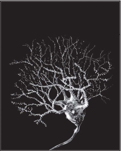 Иллюстрация к книге — Пить, чтобы бросить пить [i_021.jpg]