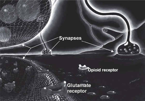 Иллюстрация к книге — Пить, чтобы бросить пить [i_023.jpg]