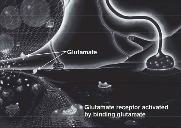 Иллюстрация к книге — Пить, чтобы бросить пить [i_024.jpg]