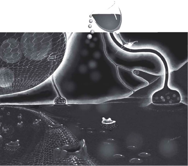 Иллюстрация к книге — Пить, чтобы бросить пить [i_025.jpg]