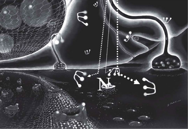 Иллюстрация к книге — Пить, чтобы бросить пить [i_029.jpg]