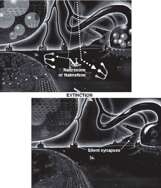 Иллюстрация к книге — Пить, чтобы бросить пить [i_030.jpg]