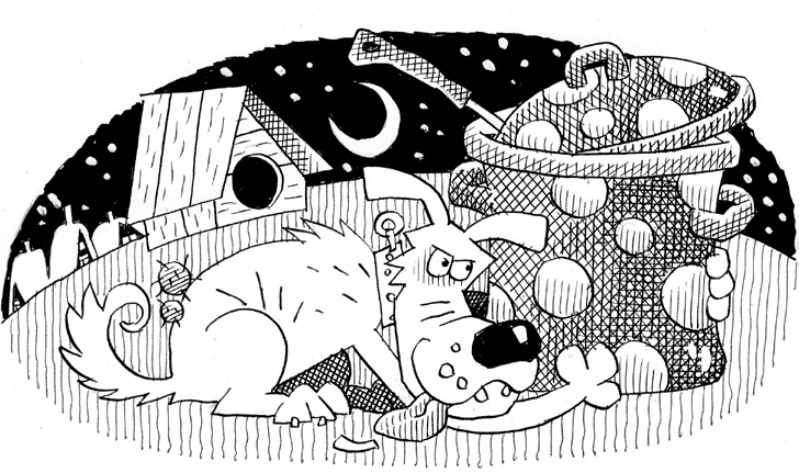 Иллюстрация к книге — Снежный борщ [i_013.jpg]