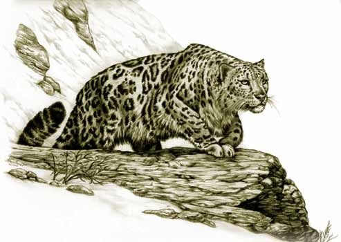 Иллюстрация к книге — Крах тирана [i_043.jpg]