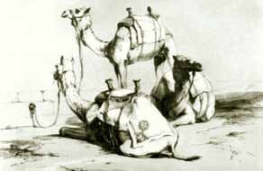 Иллюстрация к книге — Крах тирана [i_102.jpg]