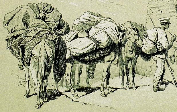 Иллюстрация к книге — Ахульго [i_140.jpg]