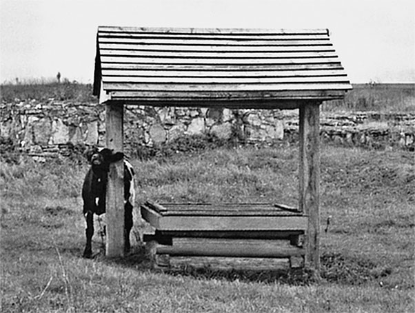 Иллюстрация к книге — Чудо света на Руси под Казанью. Как было на самом деле [i_129.jpg]