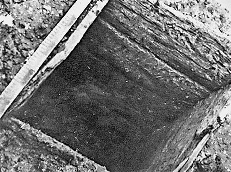 Иллюстрация к книге — Чудо света на Руси под Казанью. Как было на самом деле [i_133.jpg]