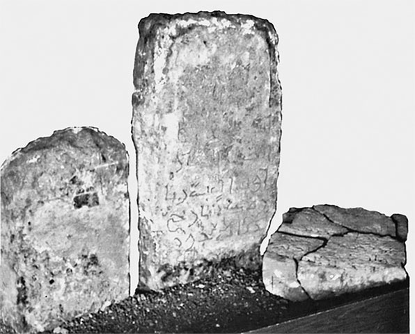 Иллюстрация к книге — Чудо света на Руси под Казанью. Как было на самом деле [i_156.jpg]