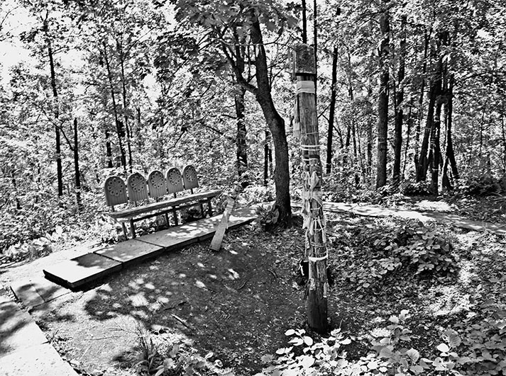 Иллюстрация к книге — Чудо света на Руси под Казанью. Как было на самом деле [i_161.jpg]