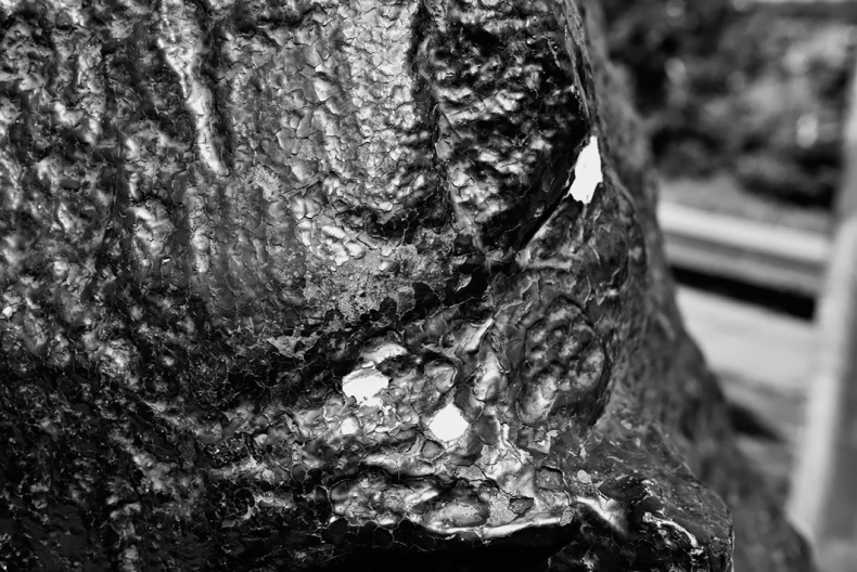 Иллюстрация к книге — Чудо света на Руси под Казанью. Как было на самом деле [i_174.jpg]