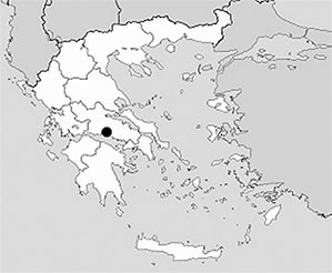 Иллюстрация к книге — Чудо света на Руси под Казанью. Как было на самом деле [i_203.jpg]