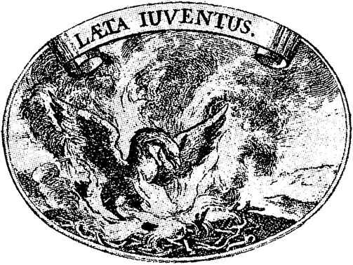 Иллюстрация к книге — Чудо света на Руси под Казанью. Как было на самом деле [i_206.jpg]