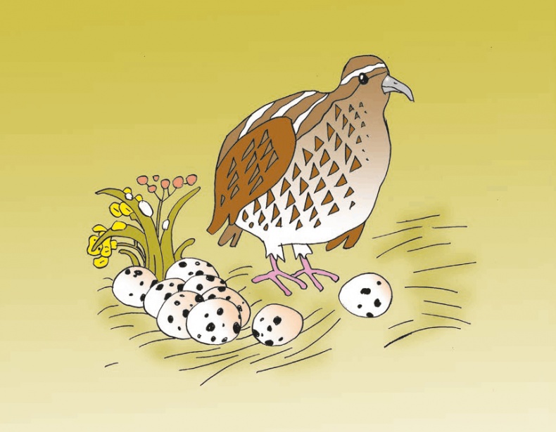 Иллюстрация к книге — Перепёлка и Воробей [i_001.jpg]