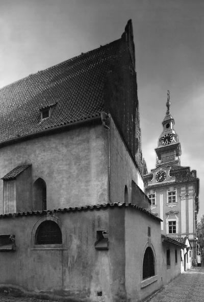 Иллюстрация к книге — Идишская цивилизация. Становление и упадок забытой нации [_05.jpg]