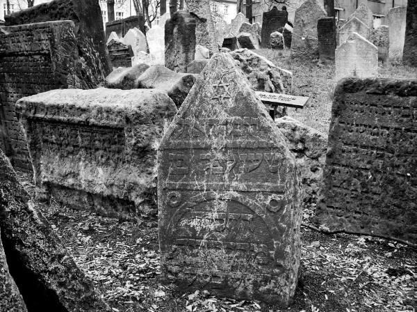 Иллюстрация к книге — Идишская цивилизация. Становление и упадок забытой нации [_08.jpg]