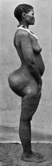 Иллюстрация к книге — Почему мы толстеем. Мифы и факты о том, что мешает нам быть стройными [_002.jpg]