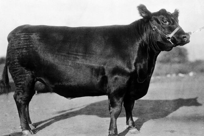 Иллюстрация к книге — Почему мы толстеем. Мифы и факты о том, что мешает нам быть стройными [_005.jpg]