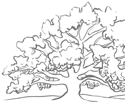 Иллюстрация к книге — Как любить осознанно [i_003.jpg]