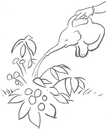 Иллюстрация к книге — Как любить осознанно [i_007.jpg]