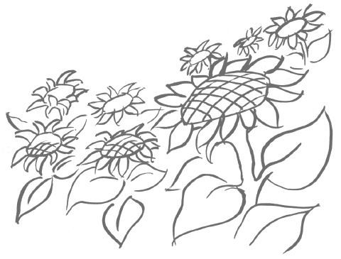 Иллюстрация к книге — Как любить осознанно [i_010.jpg]