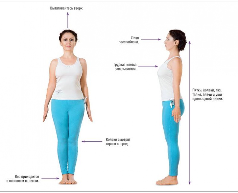 Иллюстрация к книге — Основы йоги. Все, что нужно для самостоятельных занятий [i_004.jpg]