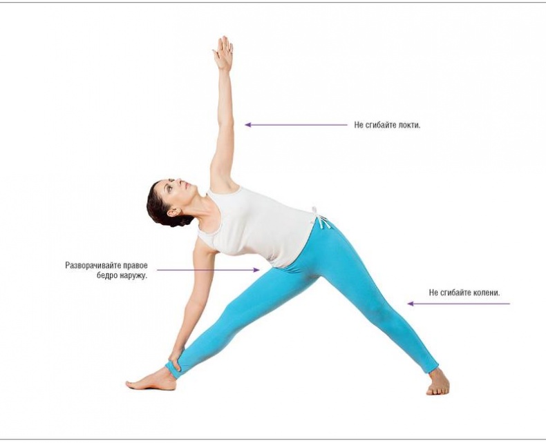 Иллюстрация к книге — Основы йоги. Все, что нужно для самостоятельных занятий [i_009.jpg]