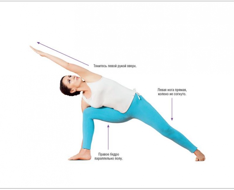 Иллюстрация к книге — Основы йоги. Все, что нужно для самостоятельных занятий [i_011.jpg]