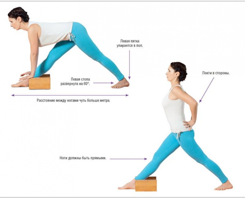 Иллюстрация к книге — Основы йоги. Все, что нужно для самостоятельных занятий [i_013.jpg]