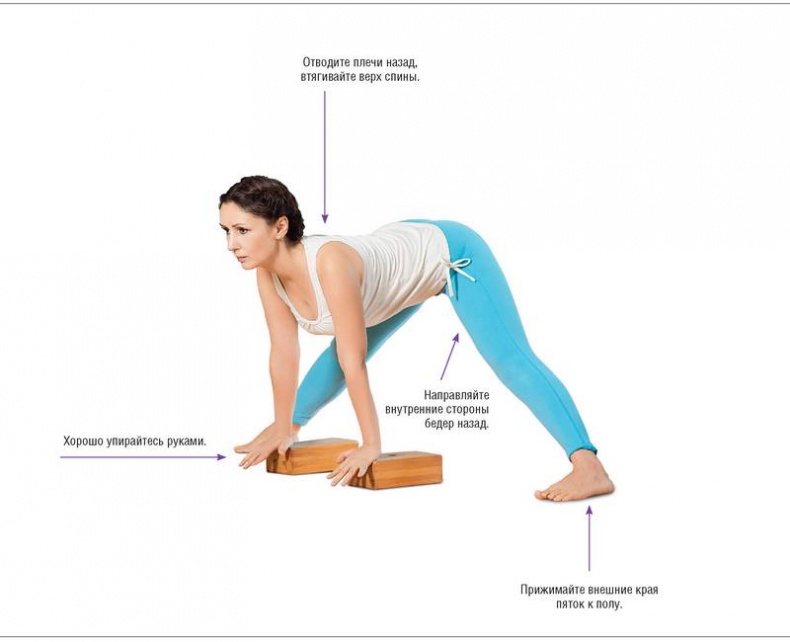 Иллюстрация к книге — Основы йоги. Все, что нужно для самостоятельных занятий [i_014.jpg]