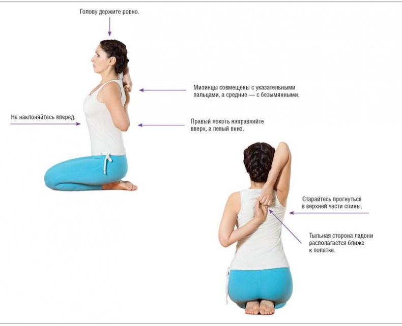 Иллюстрация к книге — Основы йоги. Все, что нужно для самостоятельных занятий [i_019.jpg]