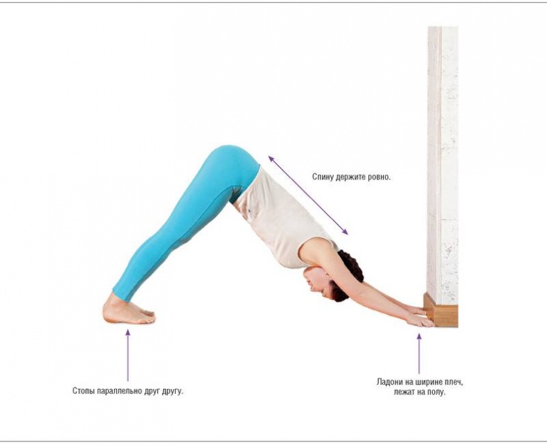 Иллюстрация к книге — Основы йоги. Все, что нужно для самостоятельных занятий [i_027.jpg]