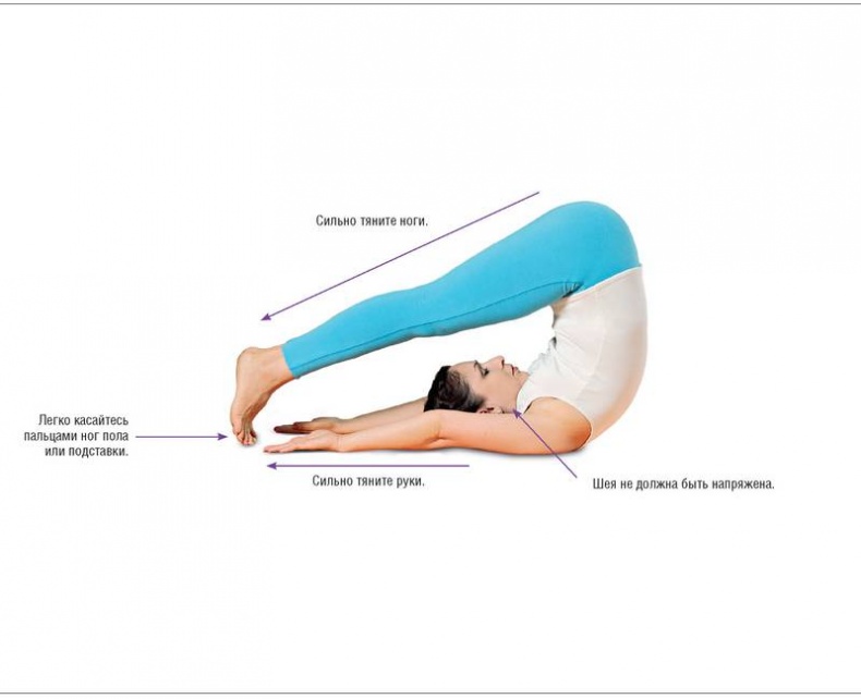 Иллюстрация к книге — Основы йоги. Все, что нужно для самостоятельных занятий [i_031.jpg]