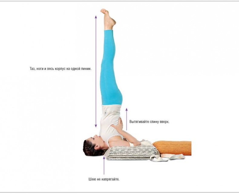 Иллюстрация к книге — Основы йоги. Все, что нужно для самостоятельных занятий [i_034.jpg]