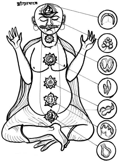 Иллюстрация к книге — Арийская медицина. Путь к бессмертию [i_003.jpg]