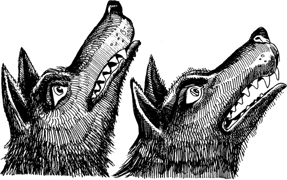 Иллюстрация к книге — Когда зацветет папоротник. Злая ведьма Варвара [_115.jpg]