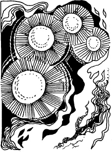 Иллюстрация к книге — Когда зацветет папоротник. Злая ведьма Варвара [_119.jpg]