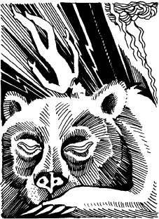 Иллюстрация к книге — Когда зацветет папоротник. Злая ведьма Варвара [_13.jpg]