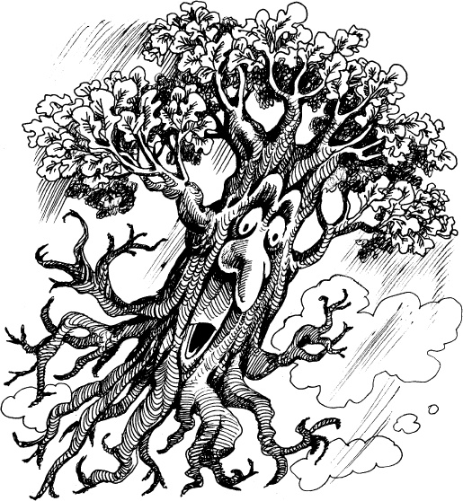 Иллюстрация к книге — Когда зацветет папоротник. Злая ведьма Варвара [_135.jpg]