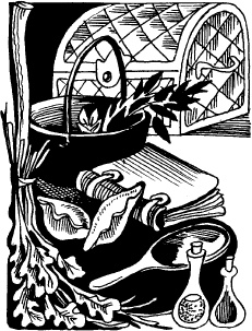 Иллюстрация к книге — Когда зацветет папоротник. Злая ведьма Варвара [_24.jpg]